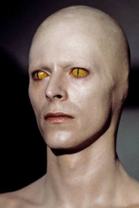 Man Who Fell To Earth, The